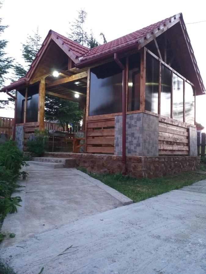 Pensiunea Floare De Colt Belis Exterior photo