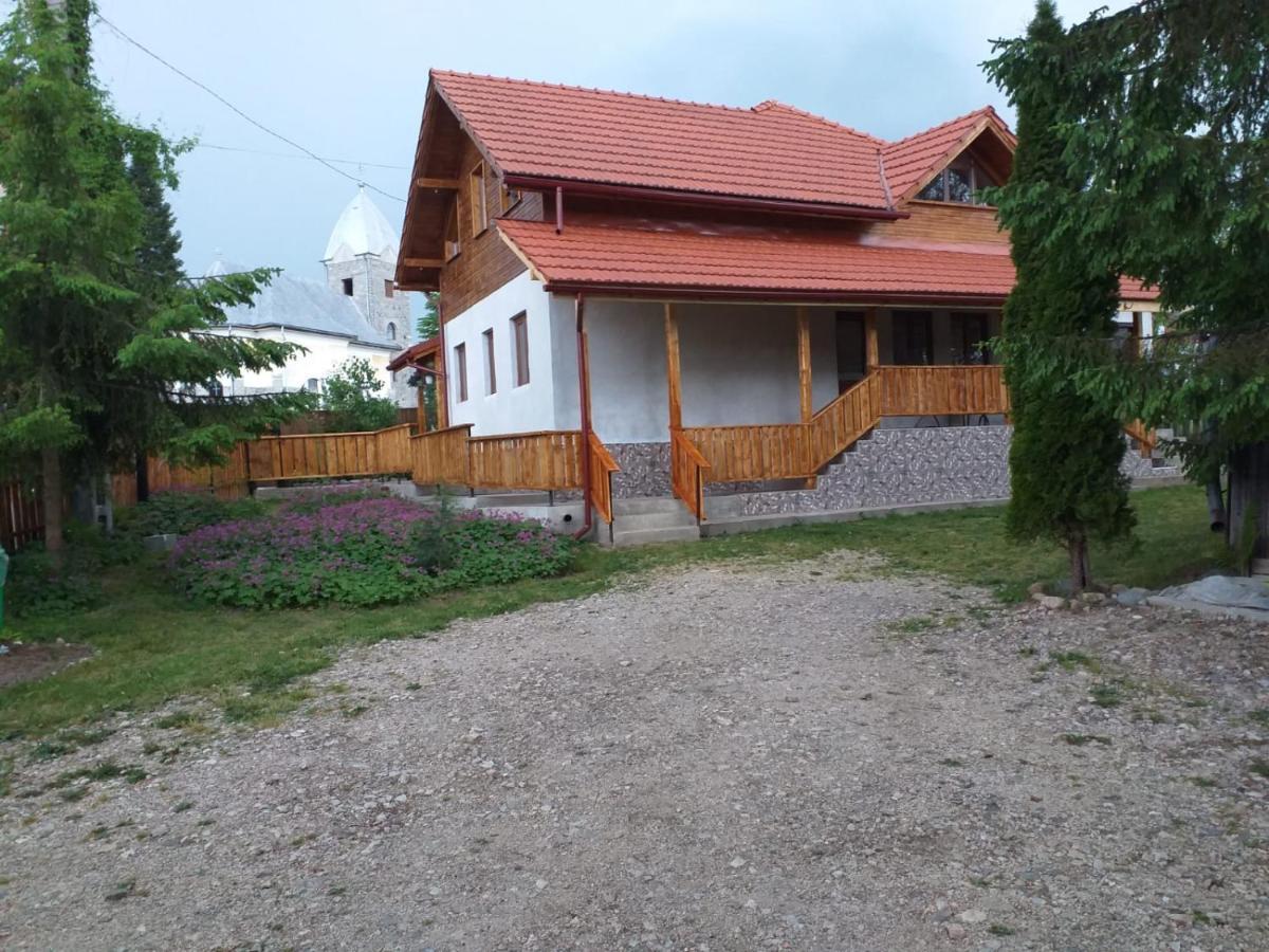Pensiunea Floare De Colt Belis Exterior photo