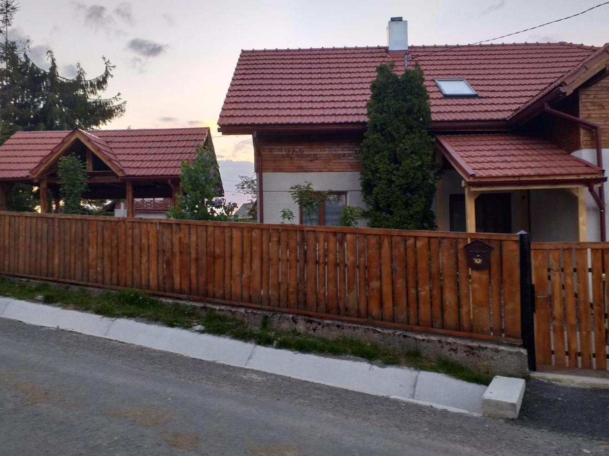 Pensiunea Floare De Colt Belis Exterior photo